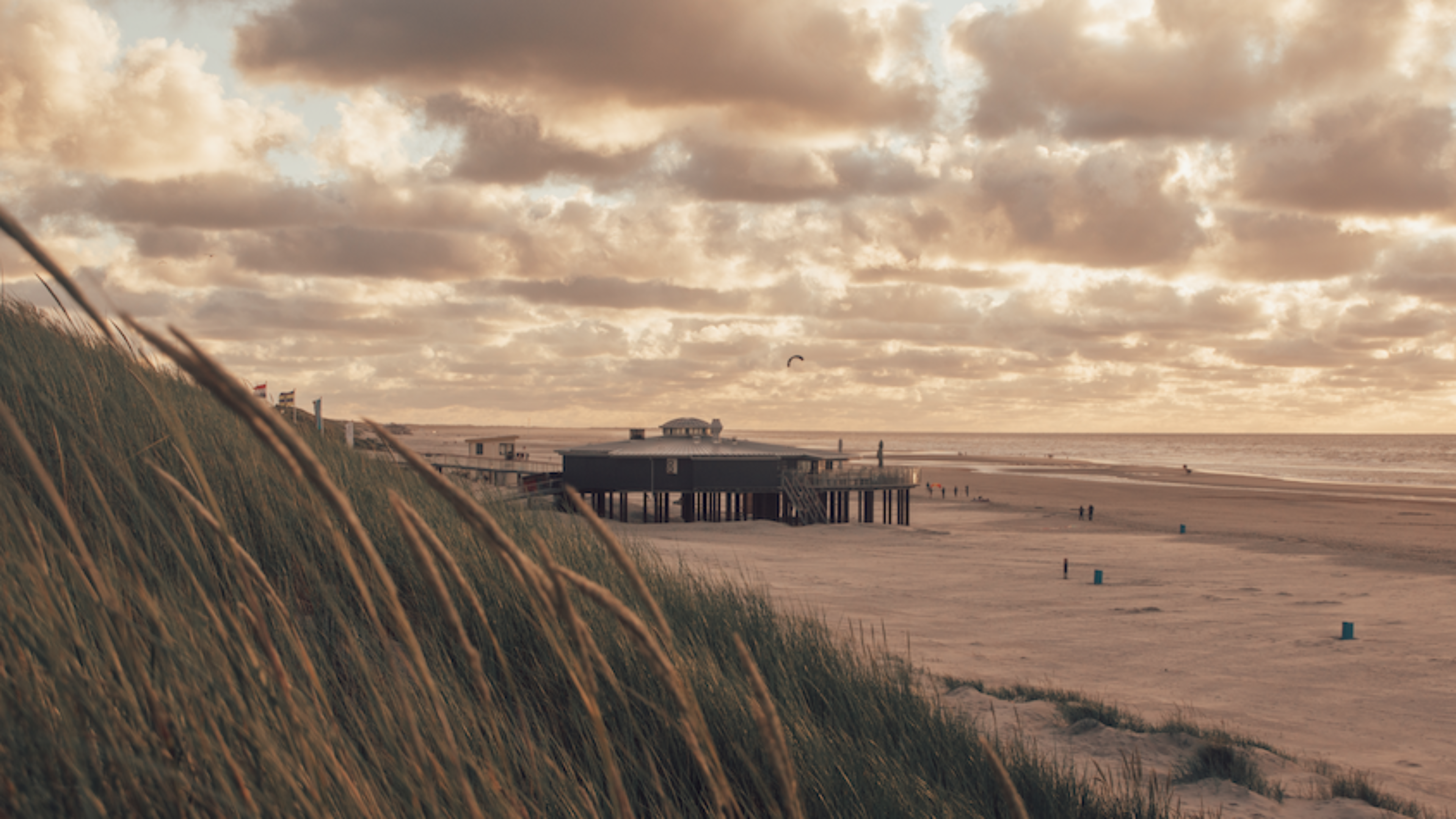 Wat te doen op Ameland, family surfcamp natuur