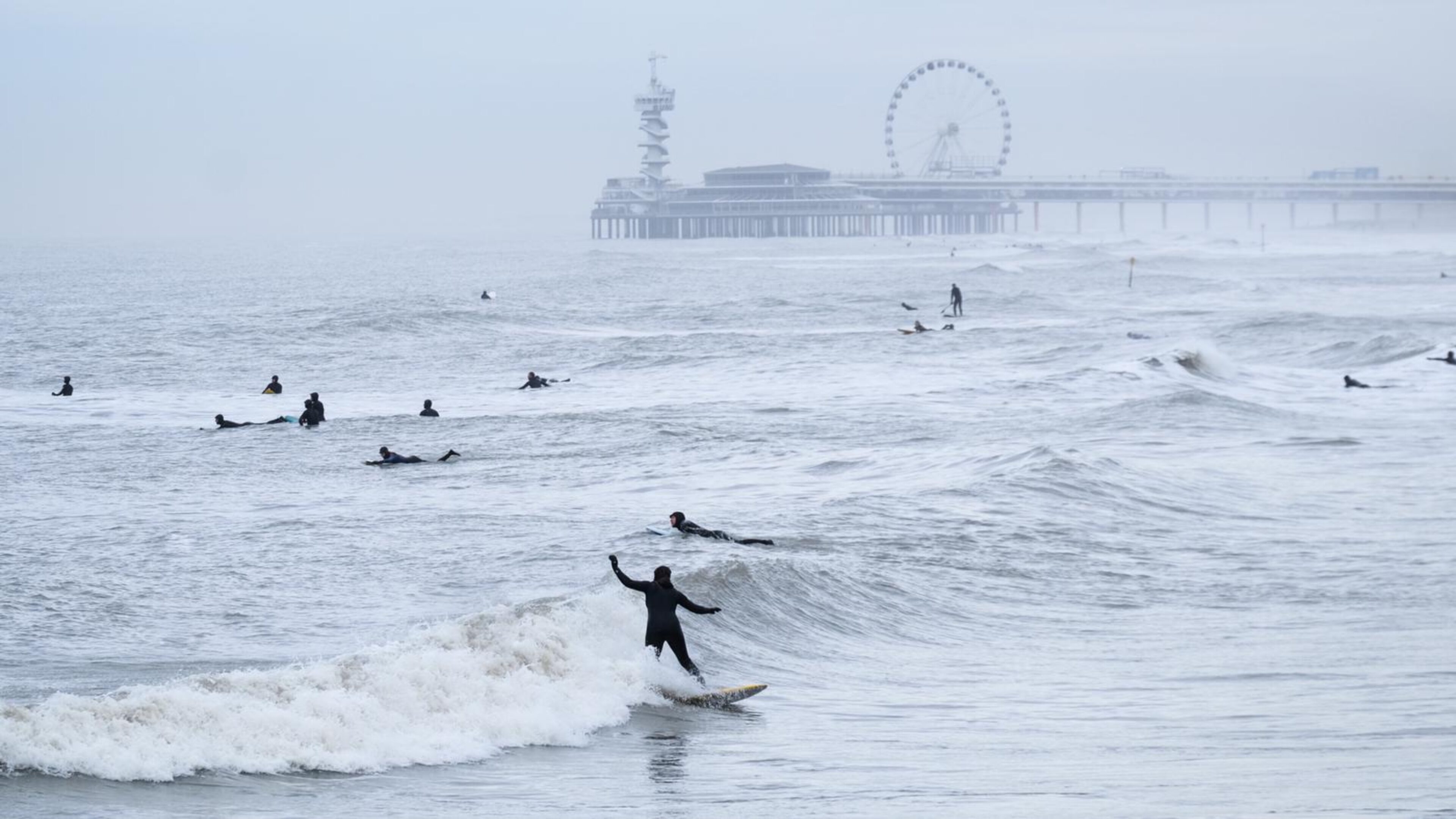 Surfen Nederland, ripstar scheveningen